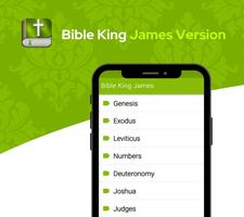 Bible King James Version ポスター