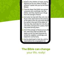 Bible King James Version captura de pantalla 1