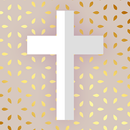 APK Bible KJV offline with voice