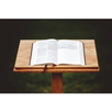 Bible school APK