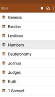 Bible with commentaries screenshot 1