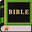 Youth Bible APK