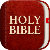 Light Bible: Daily Verses, Prayer, Audio Bible آئیکن