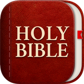 Light Bible: Daily Verses, Prayer, Audio Bible icon