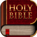 Bible study - daily devotional APK