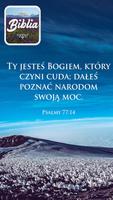 Bible in Polish poster