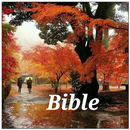 Entertaining bible APK