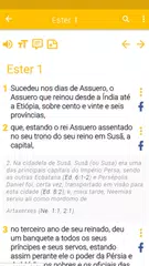 download Bíblia de estudos em Portugués XAPK