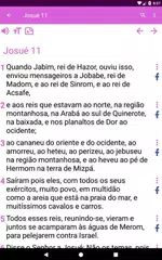 Bíblia feminina XAPK 下載