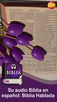 پوستر La Biblia hablada en Español