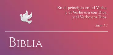 Biblia Israelita Nazarena en Español