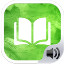 Biblia Reina Valera completa APK