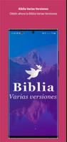 Biblia Varias Versiones পোস্টার