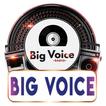 Big Voice Radio