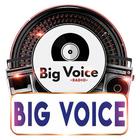 Big Voice Radio icône