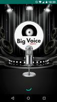 Big Voice Radio Affiche