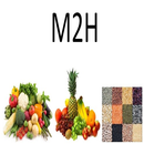 M2H - Daily Home Essentials APK