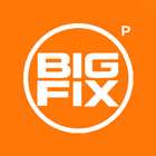 Icona Bigfix Partner