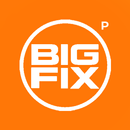Bigfix Partner APK