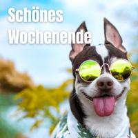 Schönes Wochenende 스크린샷 3