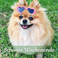 Schönes Wochenende 스크린샷 1