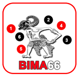 Bima66
