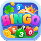 Bingo Lucky Night APK
