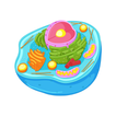 Biology Book icon