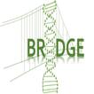 GeneBridge