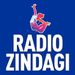 ”Radio Zindagi: Hindi Radio USA