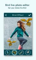 Live Birds Photo Editor : Cinamagraph Animation screenshot 1