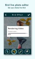 Live Birds Photo Editor : Cinamagraph Animation screenshot 2