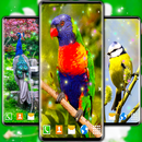 Bird Parrots HD Live Wallpaper APK