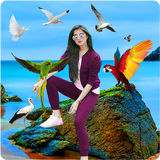 Bird Photo Editor biểu tượng