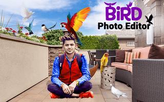 Bird Photo Editor Affiche