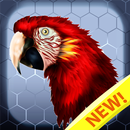 Birds color number: Pixel art bird coloring 2019 APK