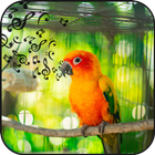 Bird sound and puzzle icône