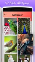 Bird sound and puzzle syot layar 3
