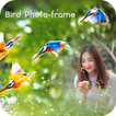 Bird And Animals Photo Frame
