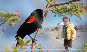 Bird And Animals Photo Frame poster