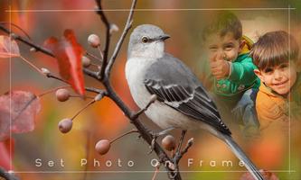 Bird And Animals Photo Frame capture d'écran 2