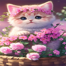 خلفيات قطط Cute Cats Wallpaper APK