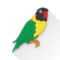 Silang LoveBird Breeder : Master Ekstrak Warna