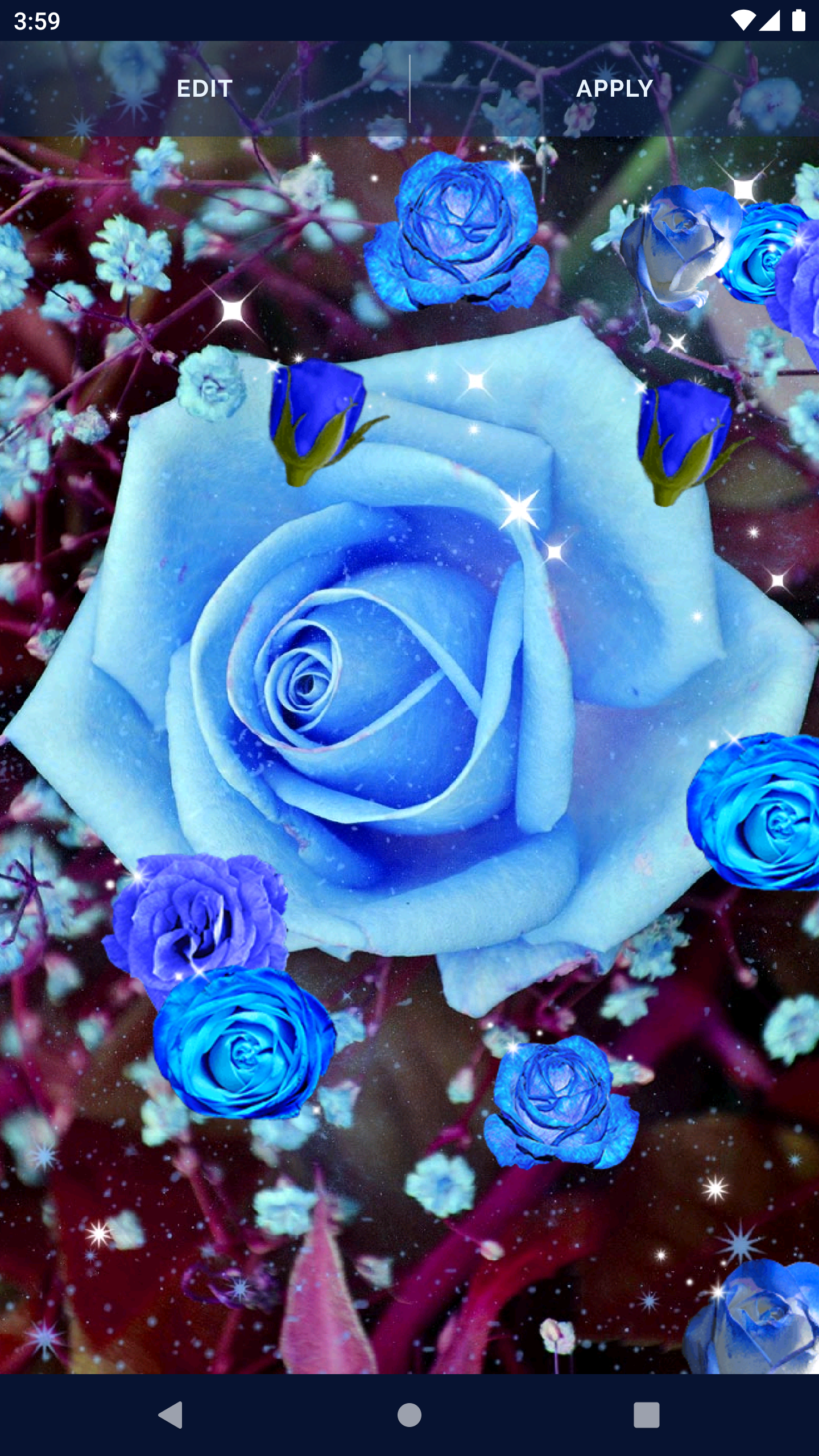 Blue Rose Live Wallpaper 3D APK for Android – Download Blue Rose Live Wallpaper 3D APK Latest Version from Blue Rose Live Wallpaper 3D APK for Android – Download Blue Rose Live Wallpaper 3D APK Latest Version from