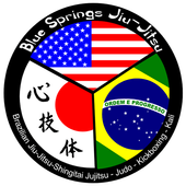 blue springs jiu jitsu