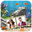 Couple Photo Aquarium Live Wallpaper 2020