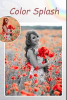 Black and Color Photo Editor Plakat