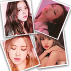 Blackpink Puzzle Games icono