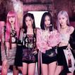 BlackPink Wallpaper