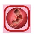 Bleeding In Pregnancy